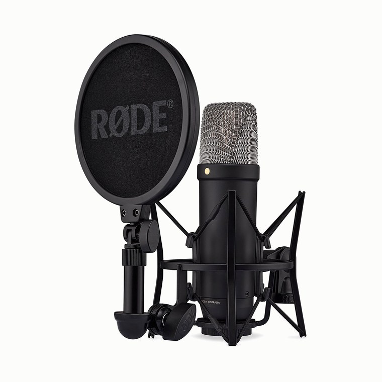 A large-diaphragm studio condenser microphone on a shock mount.