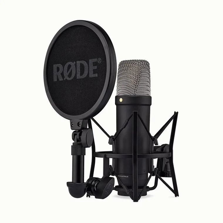 Large-diaphragm studio condenser microphone in a shock mount with a pop shield.